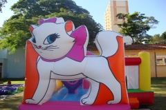 DSC05133