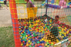 12079794_525297540970172_6841921384739716275_o