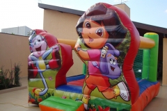 DSC04911