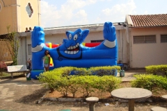 DSC04266