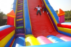 DSC01873
