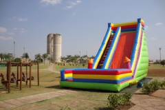 DSC03639