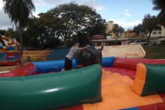 touro-mecanico_happyfest_img002