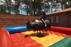 touro-mecanico_happyfest_img004