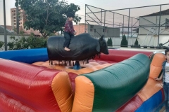 touro-mecanico_happyfest_img008