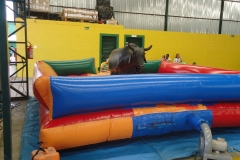 touro-mecanico_happyfest_img010